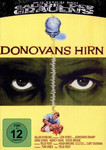 Donovans hirn anolis - *donovans, hirn*
